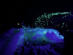 IMG 5872 1753715658 Epic Foam Glow